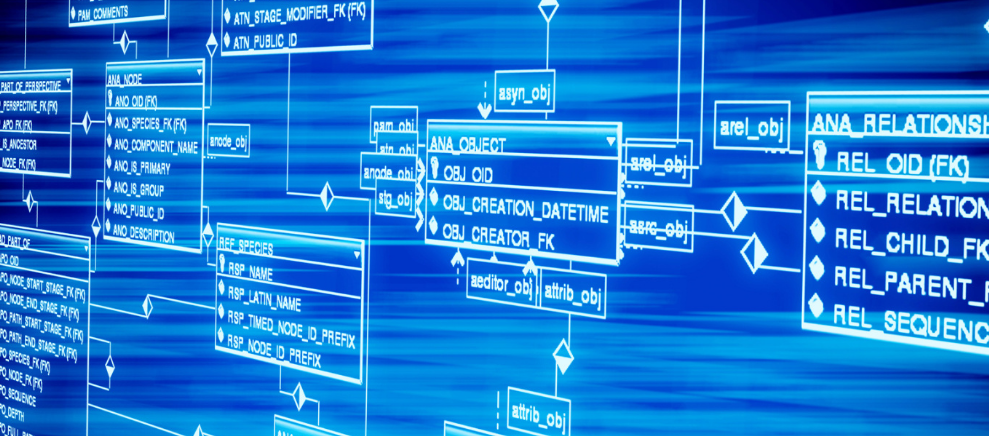 背面还有屏幕！Nothing发布旗舰Nothing Phone（3）