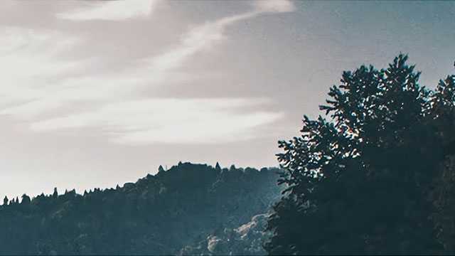 魏牌全新高山9的安全配置和舒适性配置有哪些亮点？